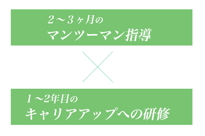 短期研修と長期研修で徹底的にスキルアップ、２〜3ヶ月のマンツーマン指導、１〜２年のキャリアアップ指導